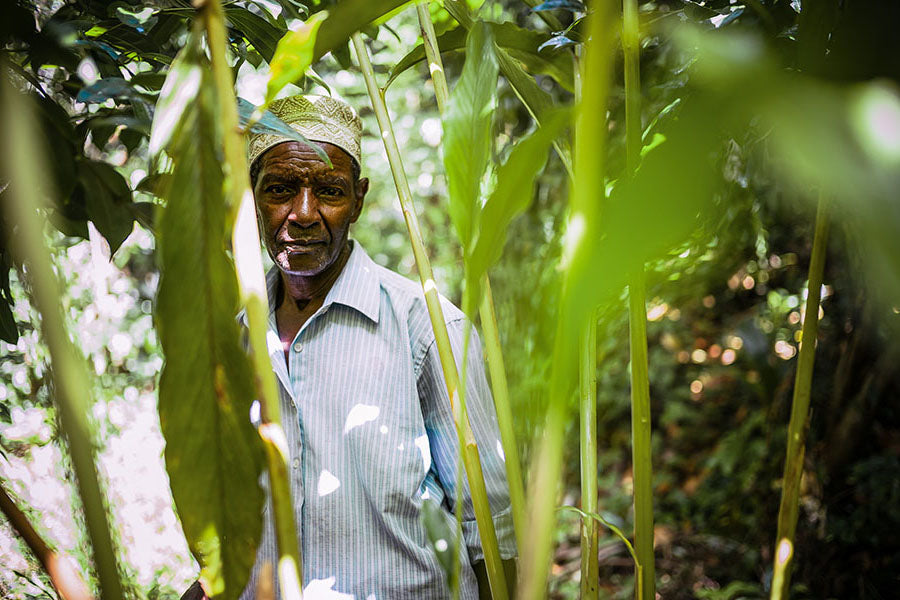 Ein Kleinbauer auf Sansibar baut nachhaltig Bio-Gewürze für 1001 Organic an.